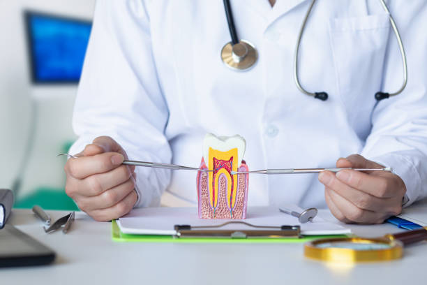 Best Emergency Root Canal Treatment in Roxana, IL